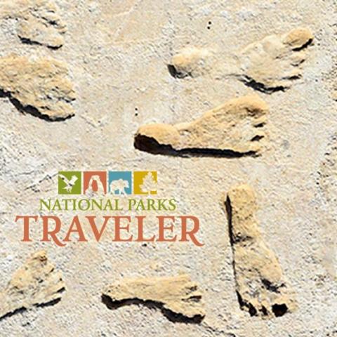 An image of ancient footprints in sediment found near White Sands National Park