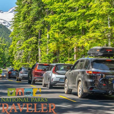 A line of cars waiting to enter Mount Rainier, photo by Rebecca Latson