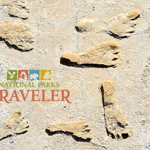 Fossilized footprints, USGS photo from White Sands National Park