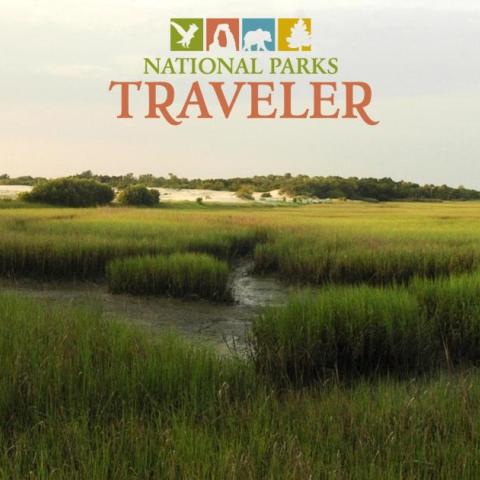 Salt marsh at Cumberland Island National Seashore. NPS Photo.