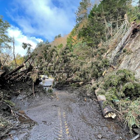 Post-Helene aftermath at the Blue Ridge Parkway. NPS photo.