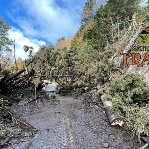 Post-Hurricane Helene aftermath at the Blue Ridge Parkway. NPS photo.