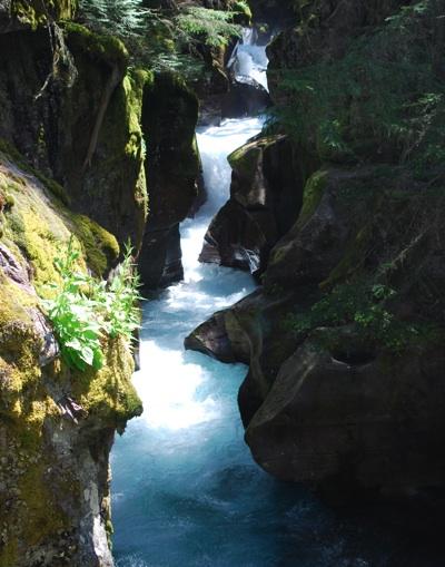 Avalanche Creek, copyright Kurt Repanshek