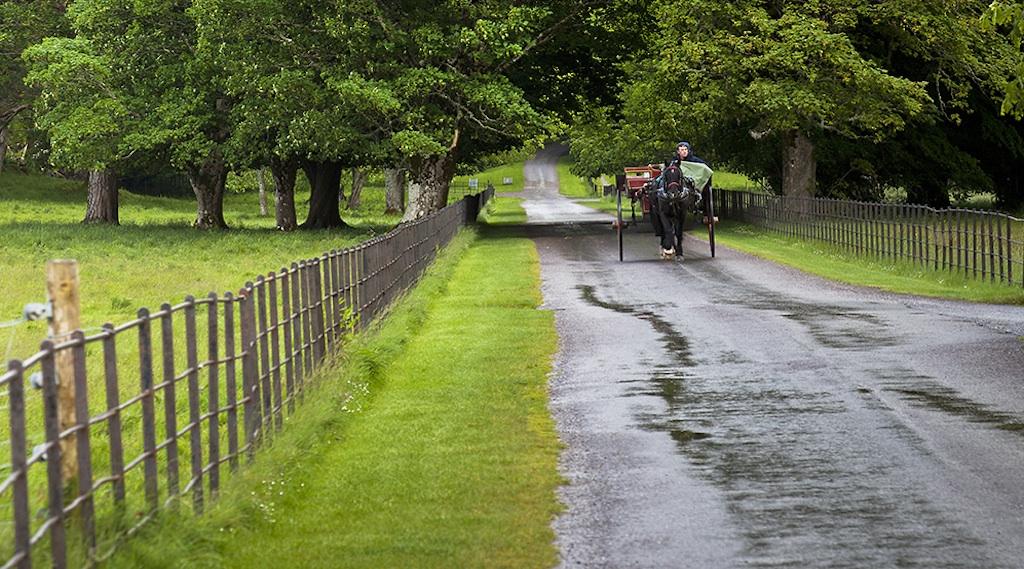 Killarney National Park, copyright Rebecca Latson