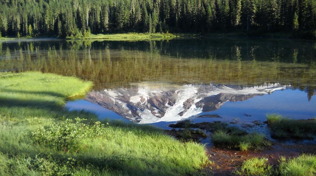 Mount Rainier National Park, copyright Gary Vogt