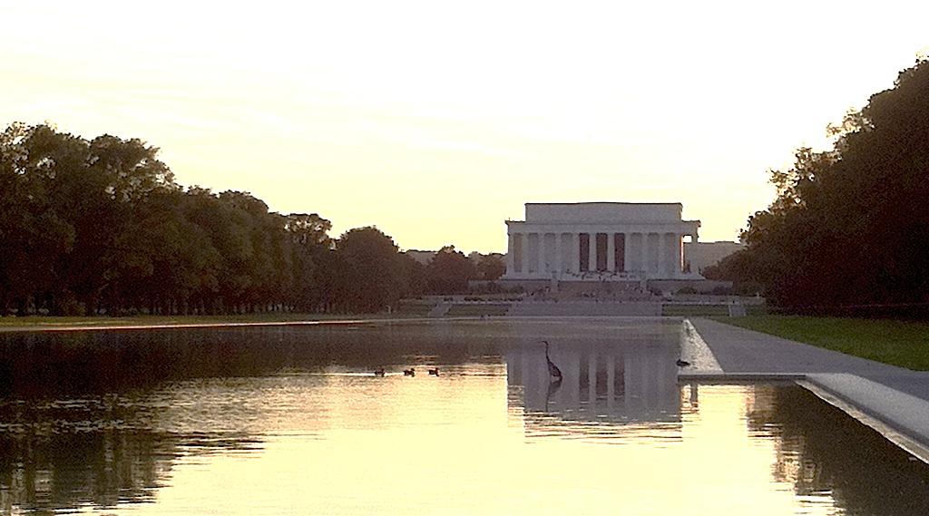 Heron in Reflecting Pool, copyright Stephen R. Brown