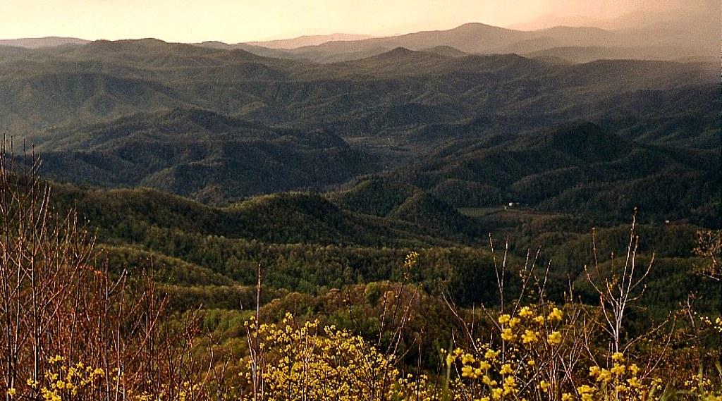 Spring rain below the Blue Ridge Parkway.