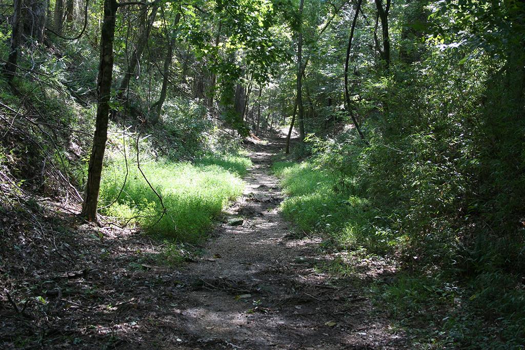 A dirt and rock trail through lush green forest along the Rocky Springs section of the Natchez Trace National Scenic Trail