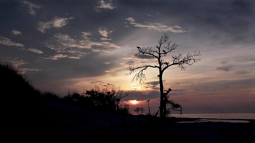 Gulf Islands National Seashore's Horn Island, at sunset. 