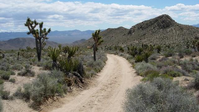 The Old Spanish Trail, winding off in peace / NPS