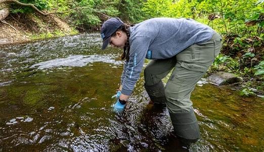 Grace Johnson collects water samples from a stream on Mount Desert Island in July 2023/University of Maine