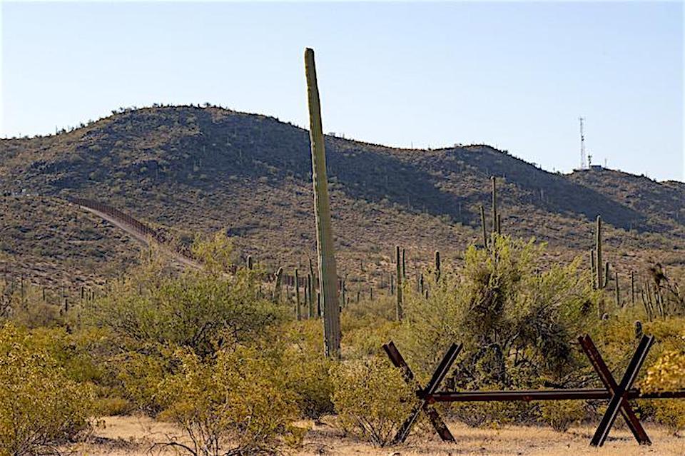 9th U.S. Circuit Court Controls Fate Of The Organ Pipe ...