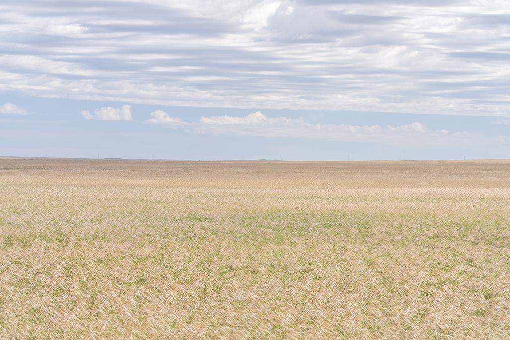A vast "ocean" of mixed-grass prairie, Badlands National Park / Rebecca Latson