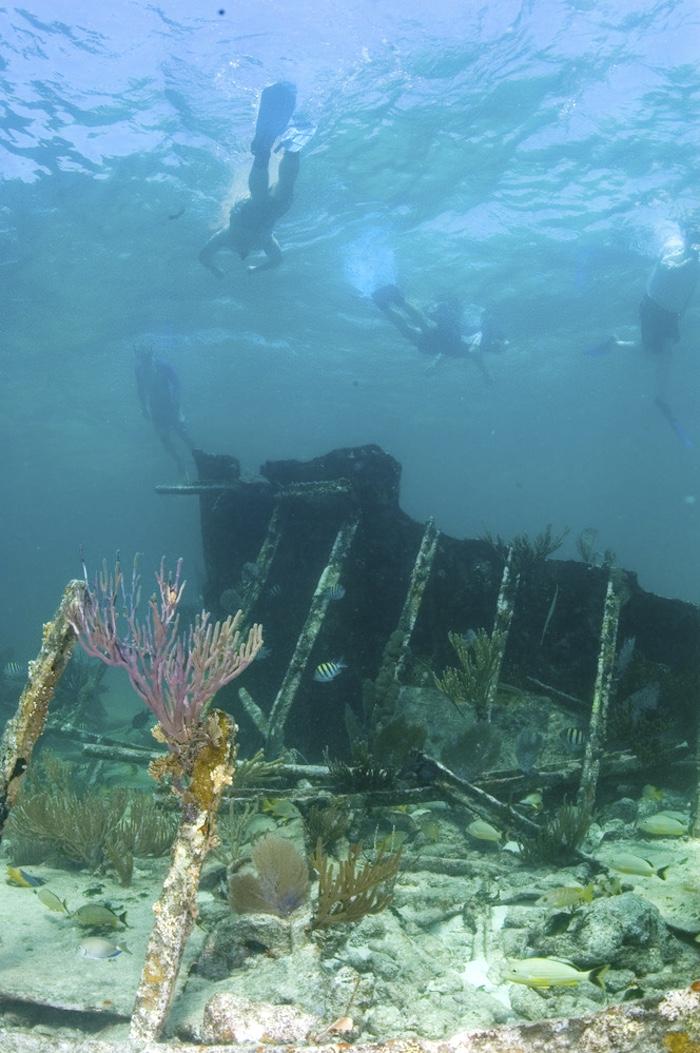 Snorkelers can explore the Mandalay in Biscayne National Park/NPS