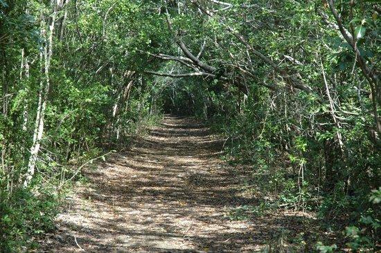 "Spite Highway" at Biscayne National Park