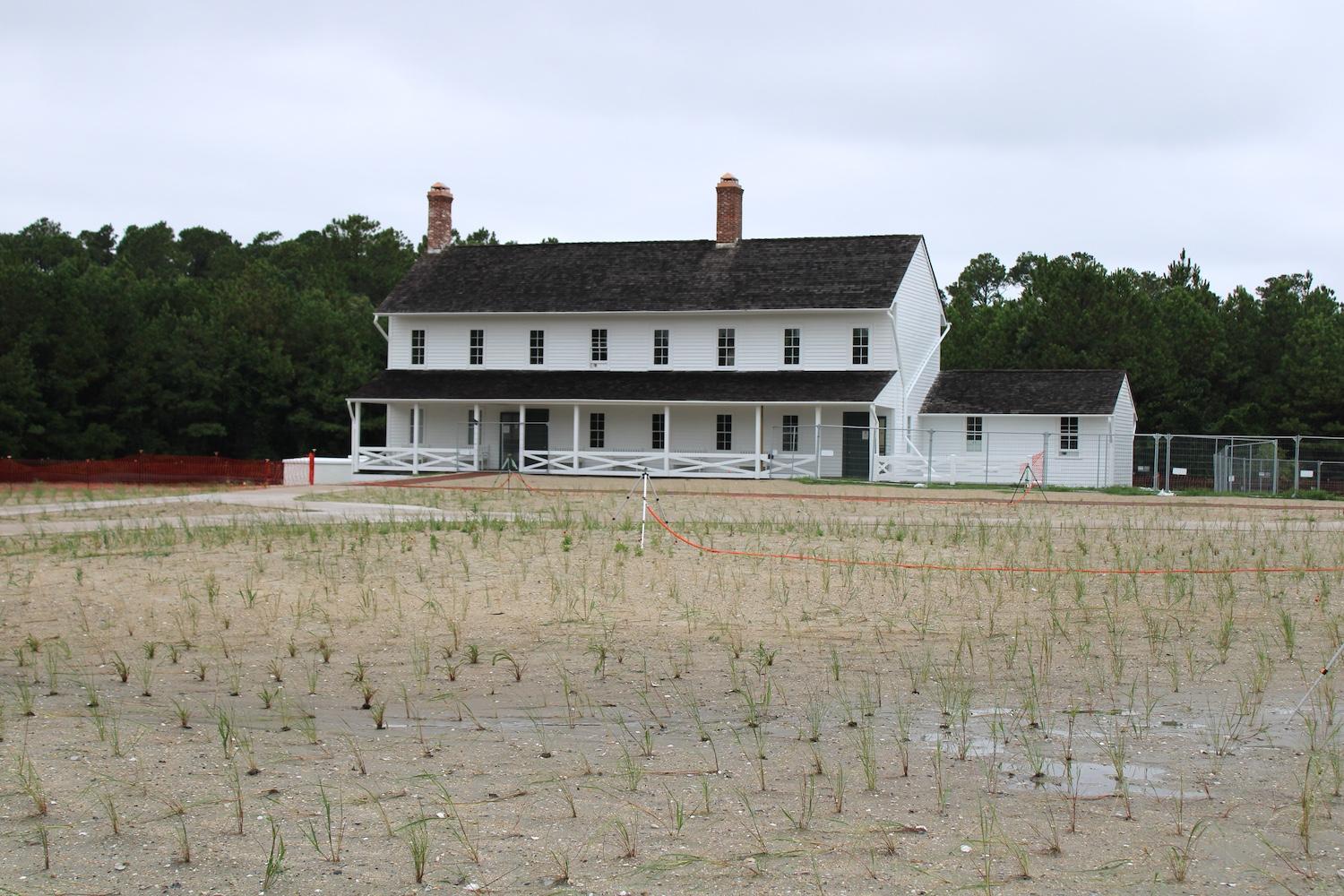 Revegetation of the lighthouse grounds/Declan