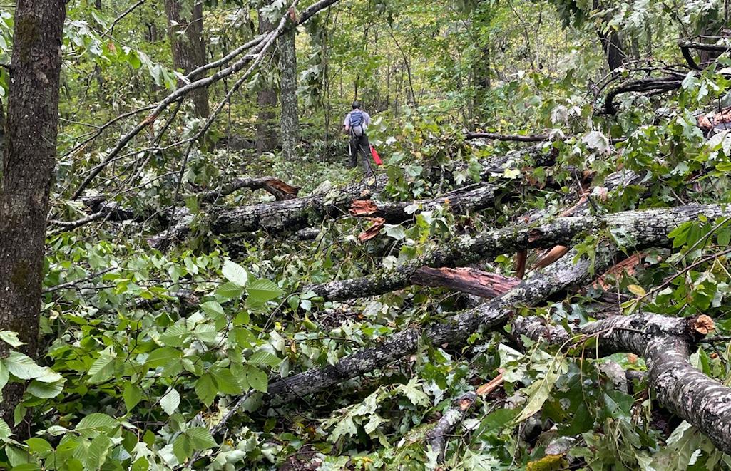 Crews were working on Cumberland Gap National Historical Park to reopen roads and trails littered with trees/NPS