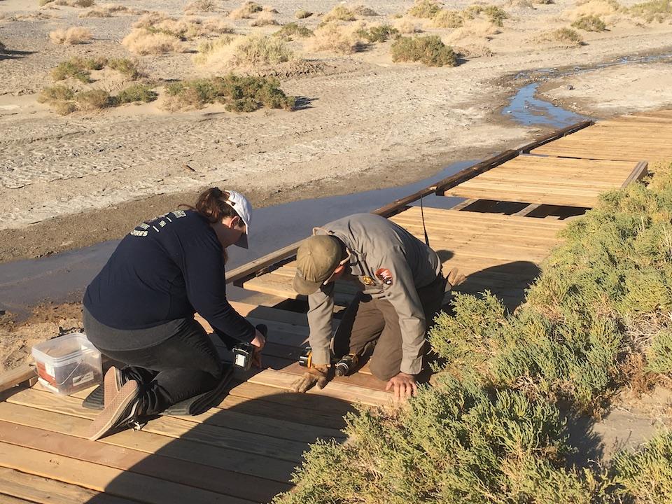 Recent repairs have allowed Death Valley National Park staff to reopen the Salt Creek Boardwalk/NPS