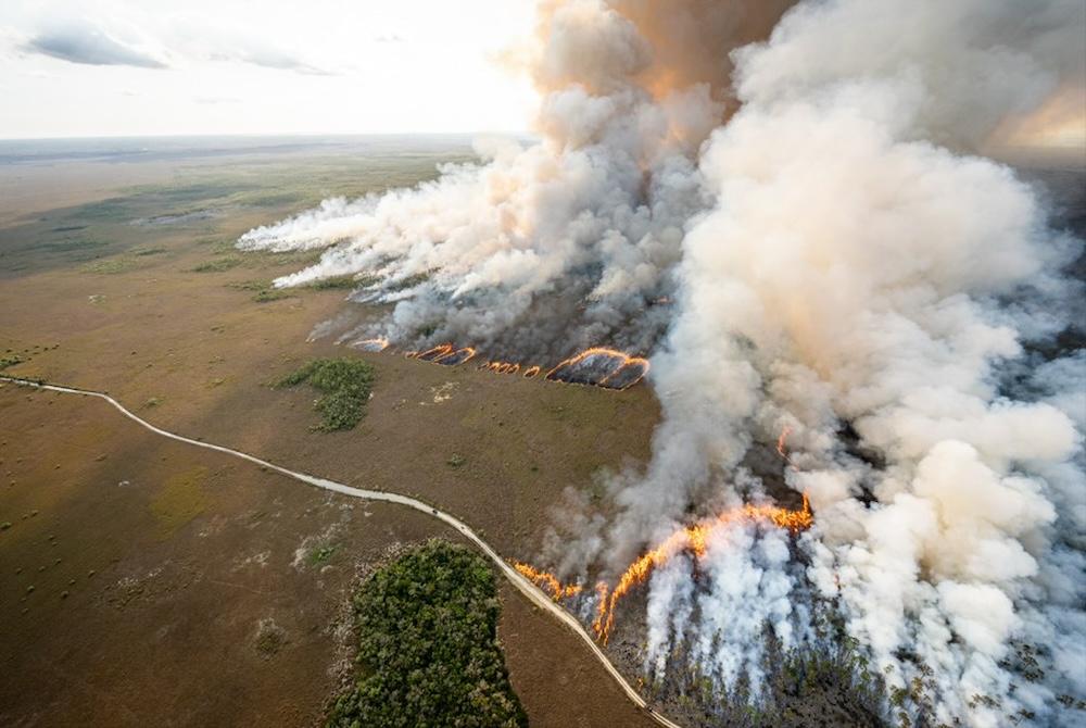 An aerial view of prescribed fire