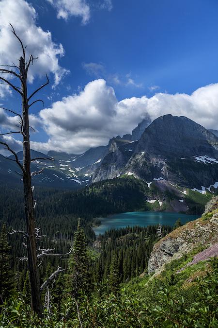 Upcoming Glacier National Park program will look to the high country for birds/Rebecca Latson file