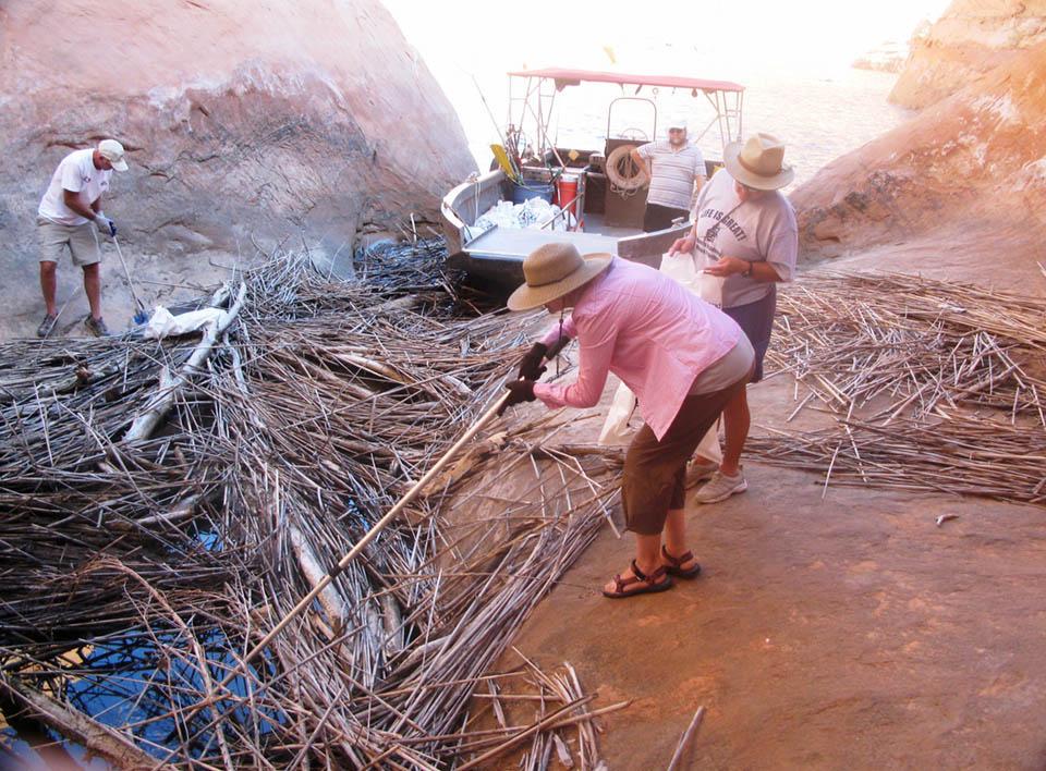 Spring Debris on Lake Powell NPS / Trash Trackers