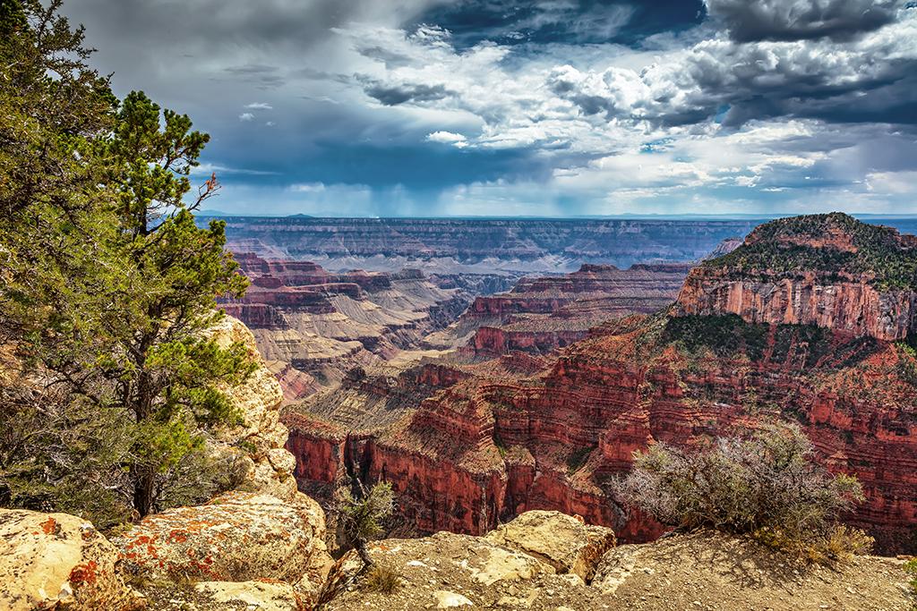 North Rim scenery on a summer afternoon, Grand Canyon National Park / Rebecca Latson