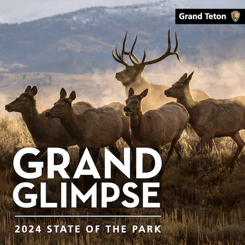 Grand Glimpse: 2024 State of the Park
