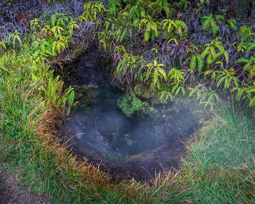 A trailside steam vent, Hawai'i Volcanoes National Park / Rebecca Latson