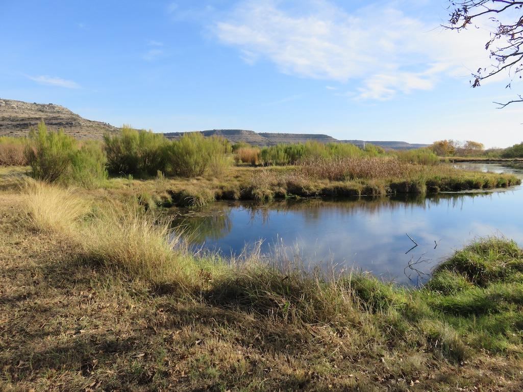 Independence Creek Preserve/DOI, Courtesy of Tom Baldvins/Colorado Natural Heritage Program