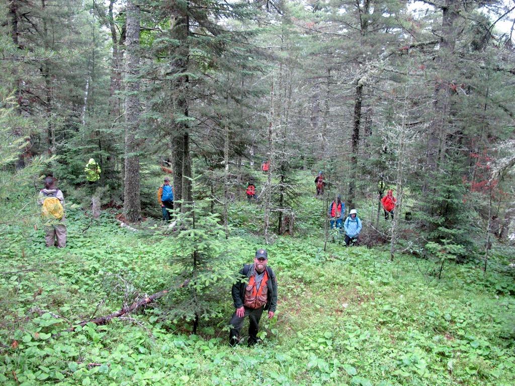 The general appearance of the Indigenous mining cluster landscape today.  Each person is positioned at the center of an Indigenous mining pit/NPS