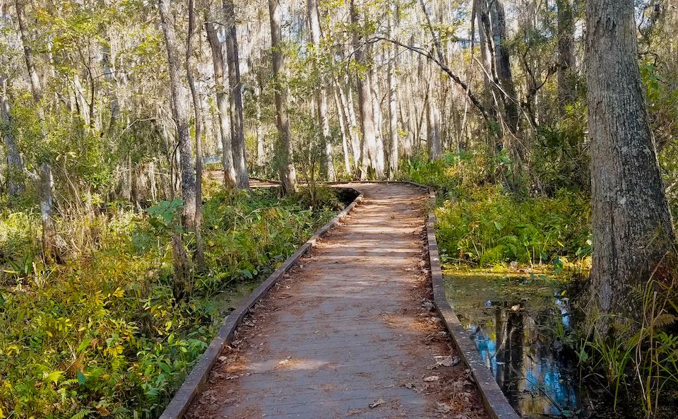 jean lafitte park