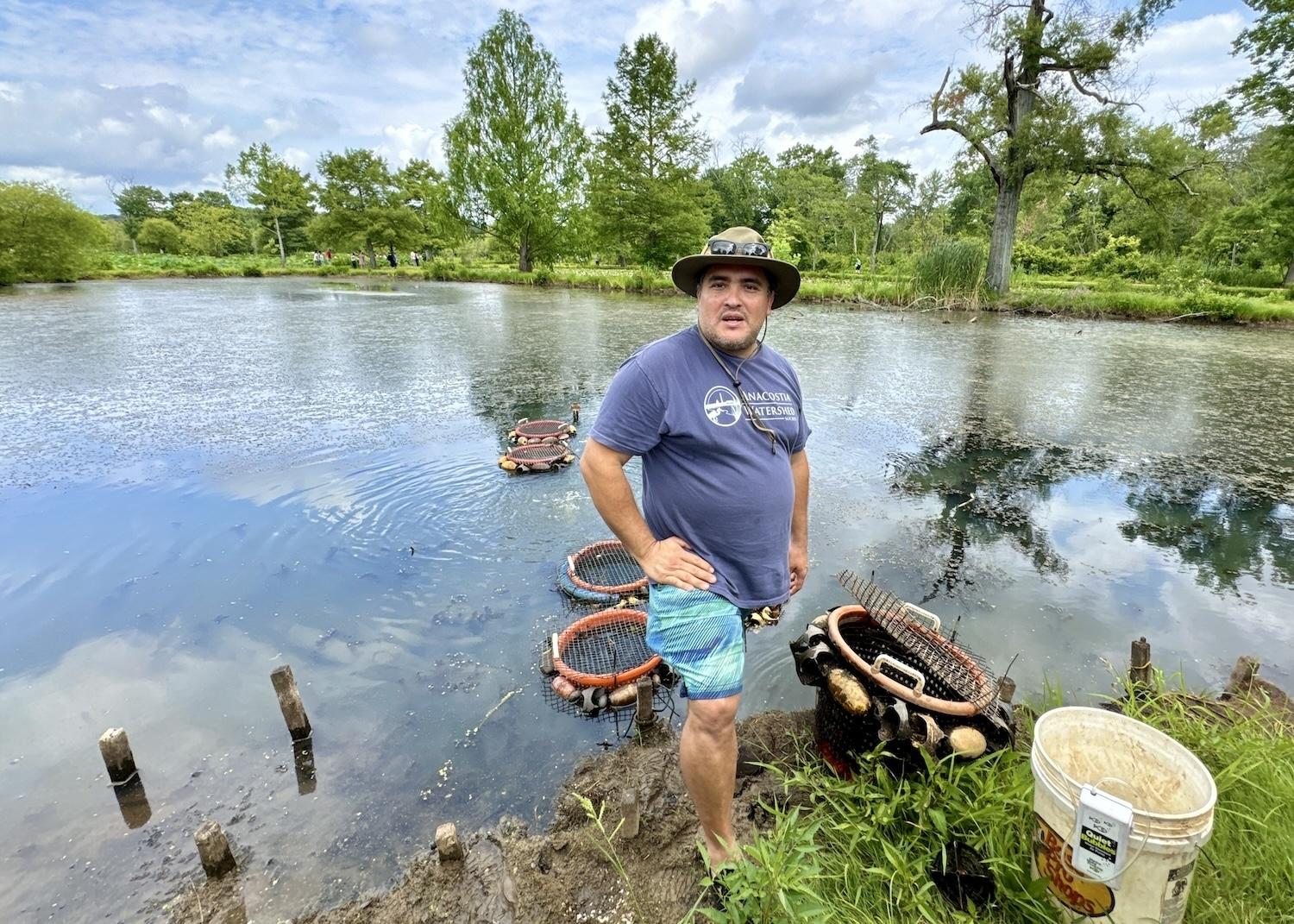 Jorge Boyantes Montero, of the Anacostia Watershed Society, collects mussels raised in Kenilworth Park & Aquatic Gardens.