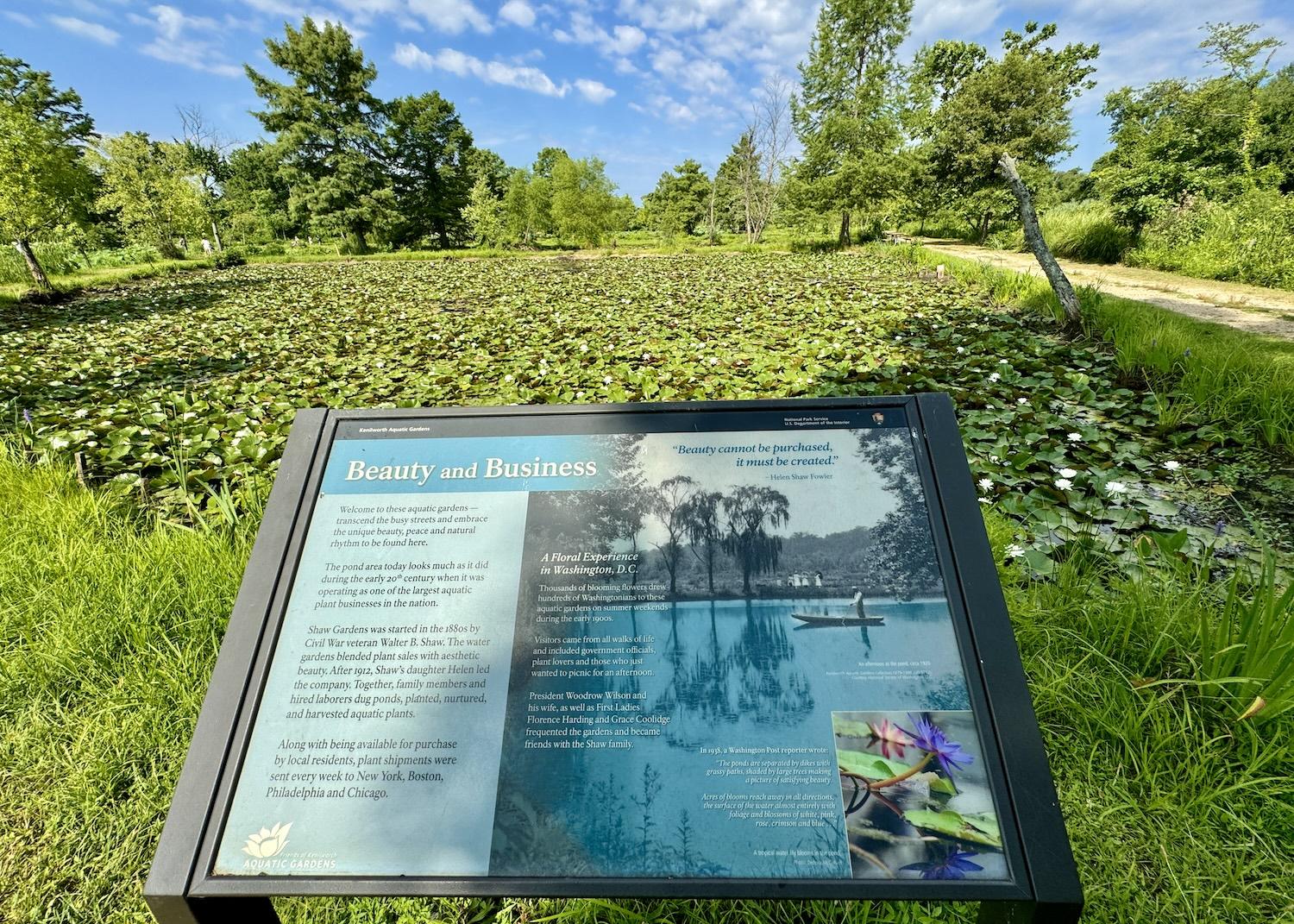 An interpretive sign at a water lily pond speaks to how "beauty and business" intertwined here.