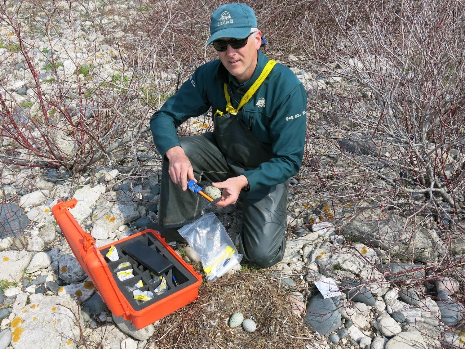 Scott Parker, a Parks Canada ecosystem scientist, helped produce the study about birds and climate change in national parks.