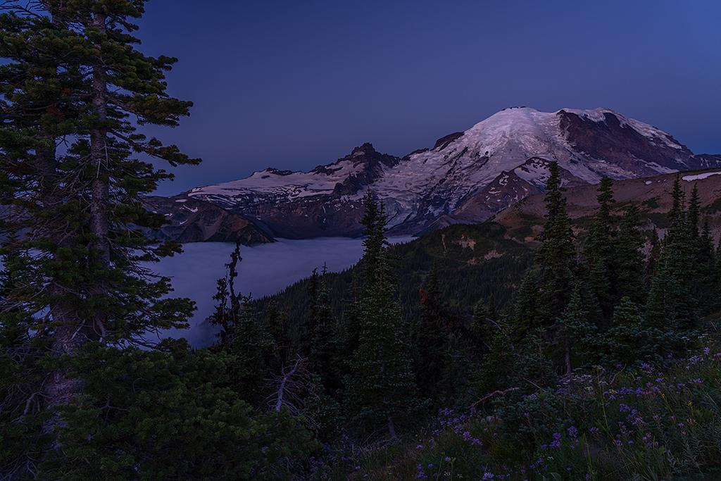 A tripod was used to capture this pre-sunrise, blue hour view of "The Mountain" and the mist in the valley at Mount Rainier National Park / Rebecca Latson