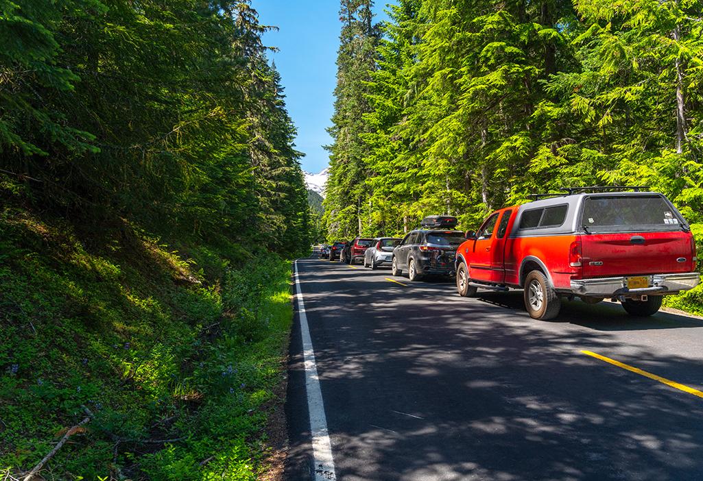 A very long line of cars waiting to pass through the Sunrise entrance booth, Mount Rainier National Park / Rebecca Latson