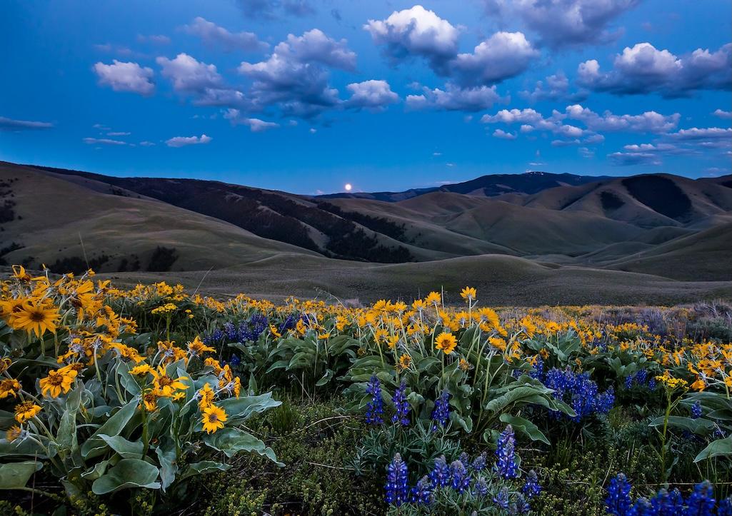 The west side of Lemhi Pass in Idaho, where Lewis and Clark crossed over the Continental Divide from present day Montana in 1805/BLM, Bob Wick