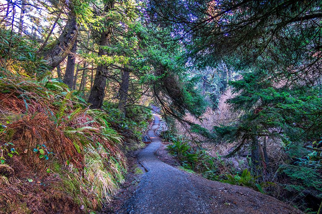 The trail from Beach 4 back up to the top, Olympic National Park / Rebecca Latson