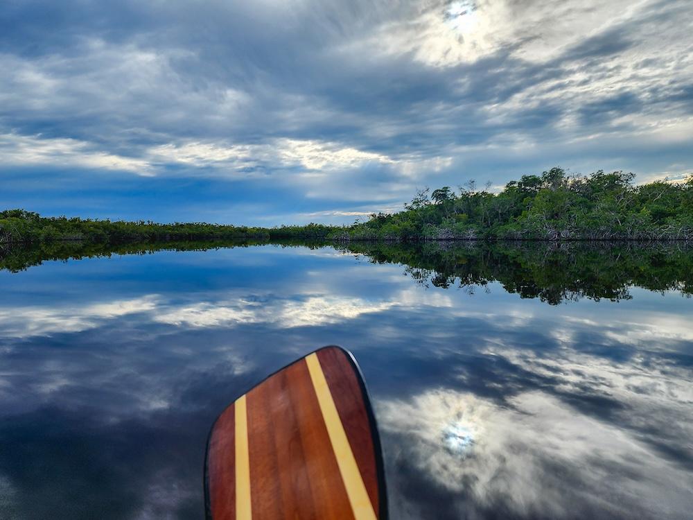 Paddle through Everglades