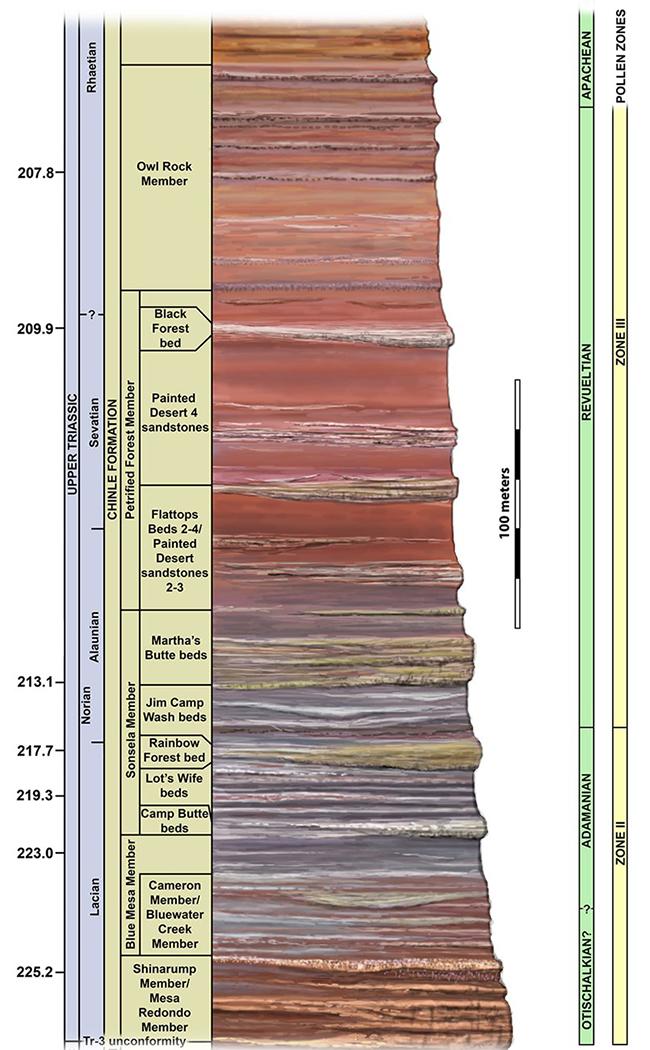 The stratigraphy column of Petrified Forest / NPS graphic