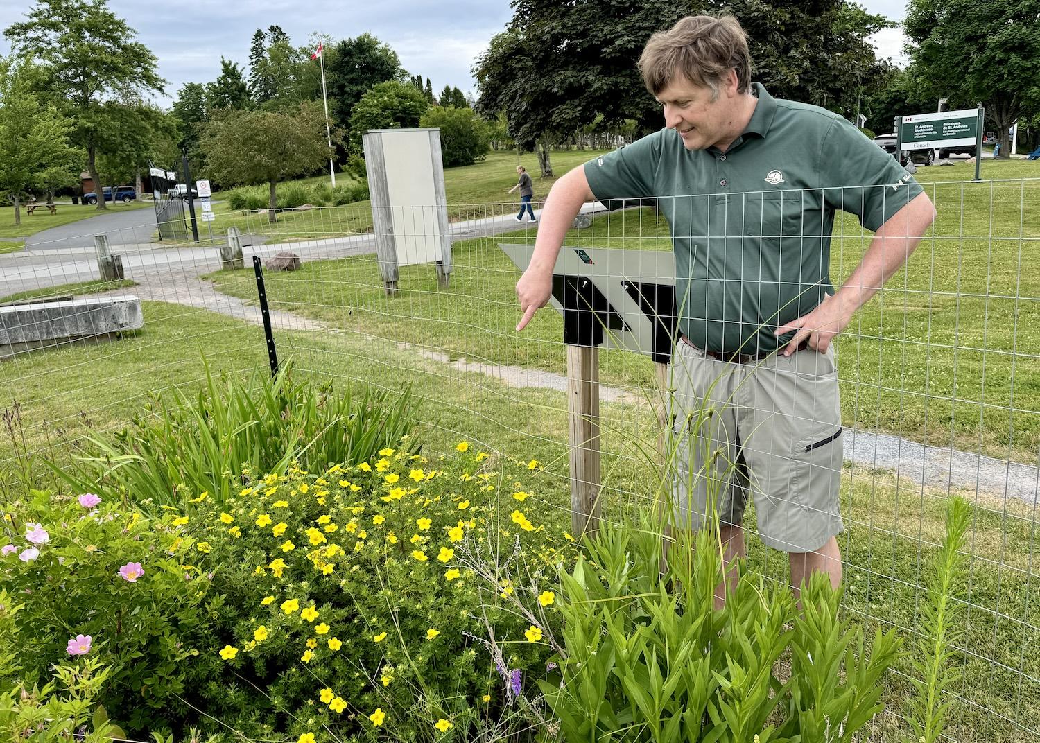 Kurt Peacock, the historic sites lead for Parks Canada in southern New Brunswick, checks on the pollinator garden at St. Andrews Blockhouse.