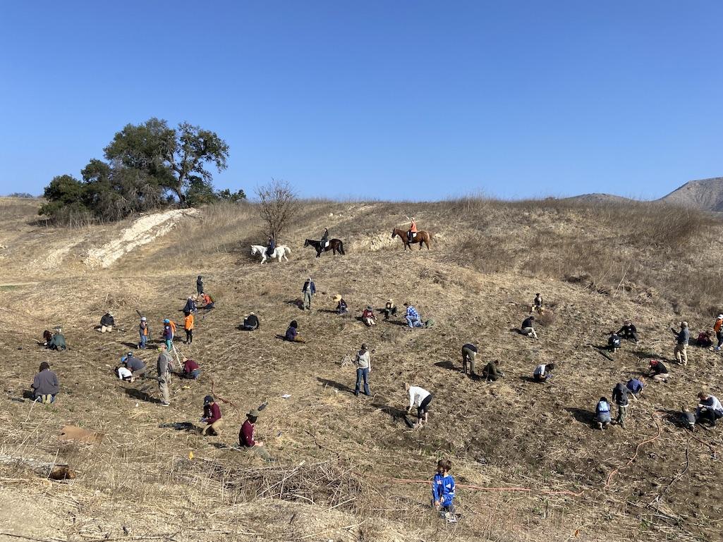 Restoration planting event at Santa Monica Mountains National Recreation Area