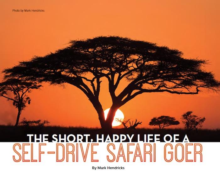 The Short, Happy Life Of A Self-Drive Safari Goer
