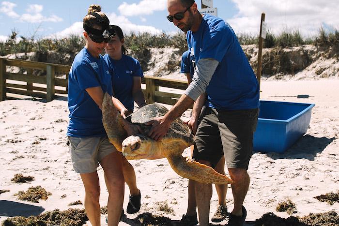 Canaveral National Seashore