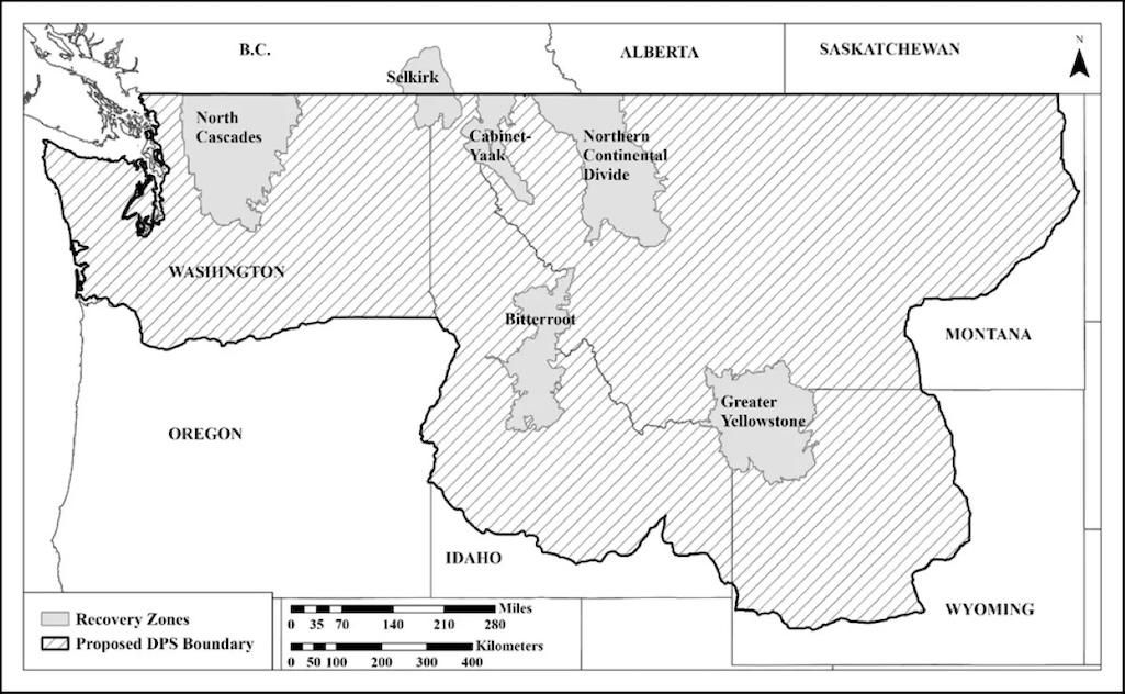 The U.S. Fish and Wildlife Service is proposing to draw a "distinction population segment" boundary for grizzly bears in the coterminous United States/USFWS 