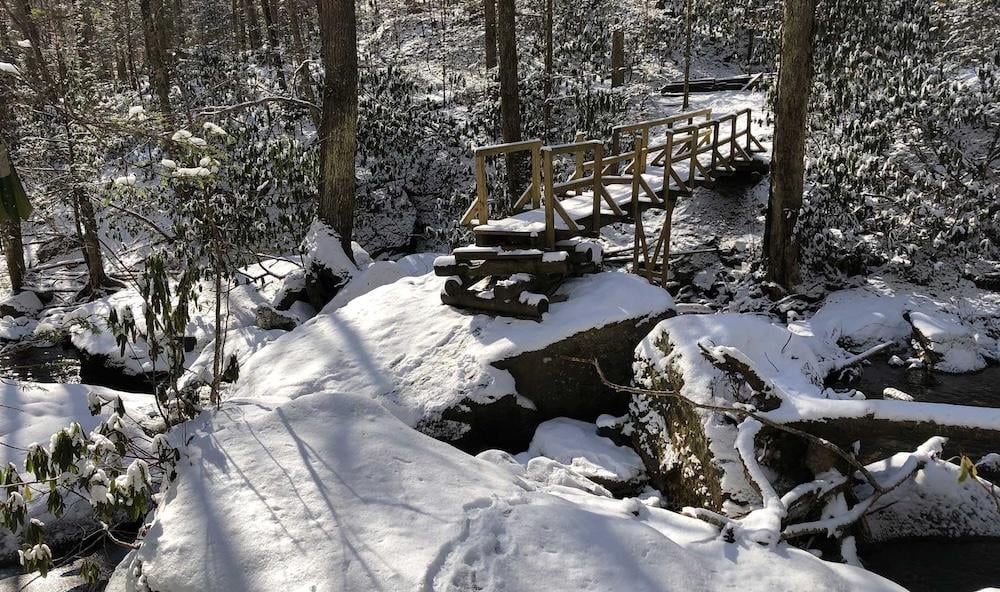 a snow-covered bridge in the forest