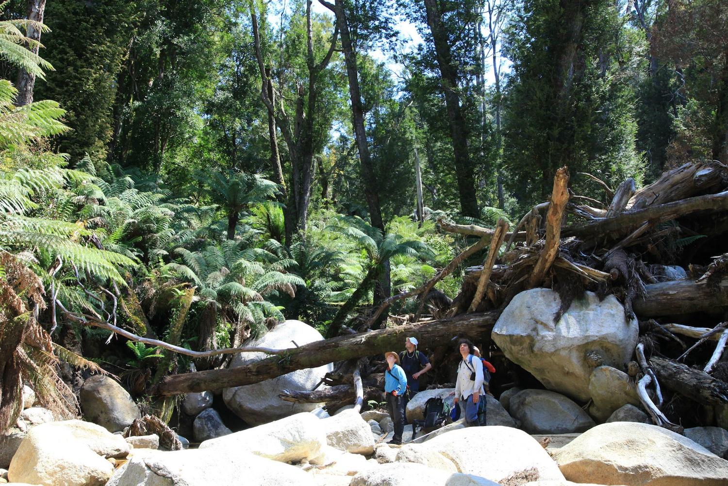 The park's Paradise Valley brings immense perspective to visitors/Parks Victoria