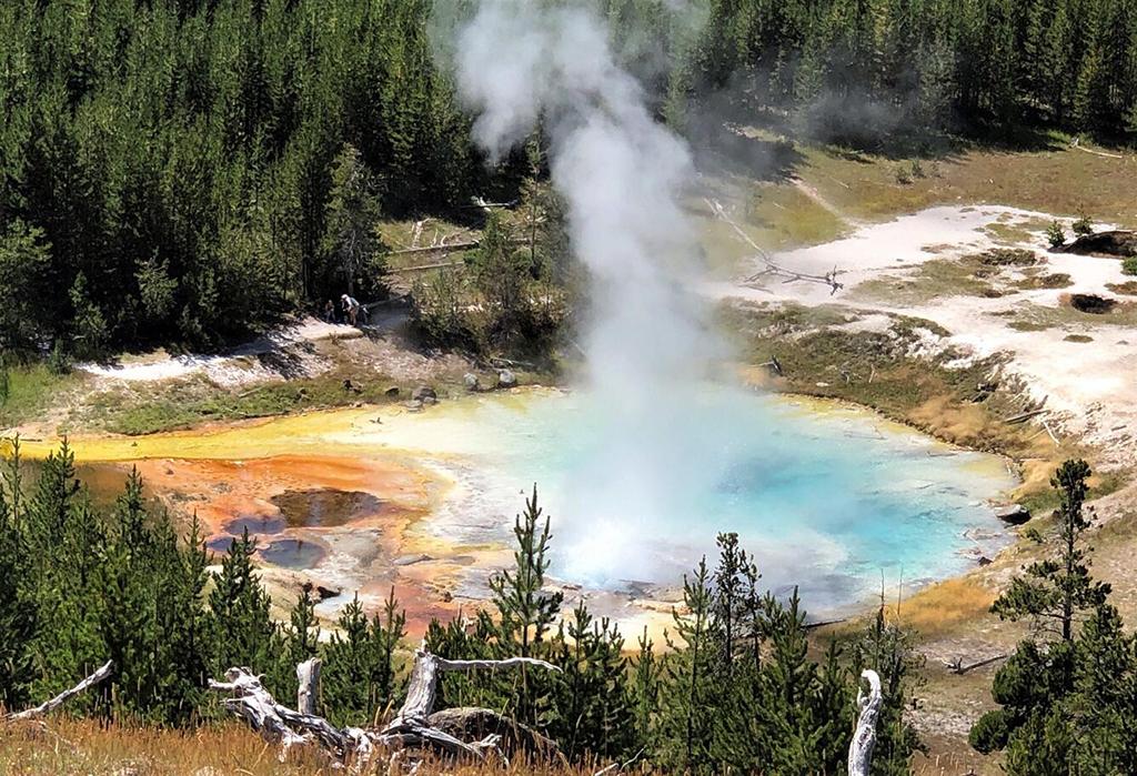 Imperial Geyser looking south, Yellowstone National Park / USGS - Pat Shanks